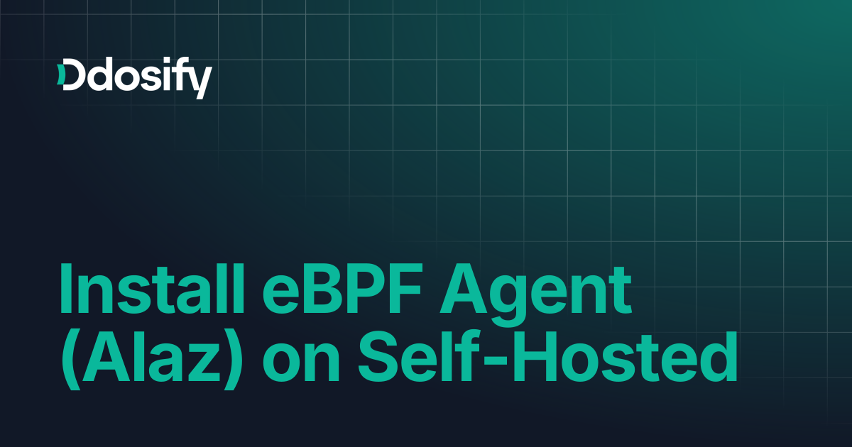 Install eBPF Agent (Alaz) on Self-Hosted | Ddosify Documentation